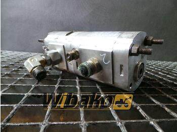 Hydraulic pump PARKER