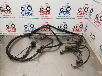 Cables/ Wire harness SAME