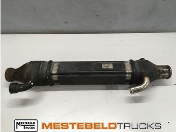 Exhaust system for Truck Scania EGR koeler DC9 39 L01: picture 1