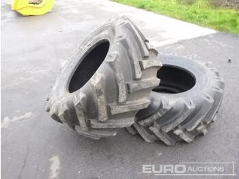 Tire TVS Eurogrip 15-55-17  (2of): picture 1