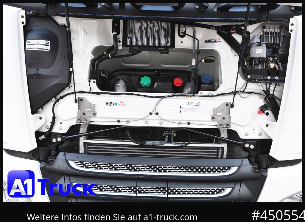 Tractor unit DAF XF 480 SSC, Volumen, Intarder, Standklima,