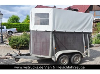 Livestock trailer 1,5 Pferde mit Frontausstieg: picture 1