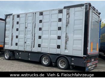 Livestock trailer Menke 5 Stock Unfall Hubdach Vollalu Typ 2