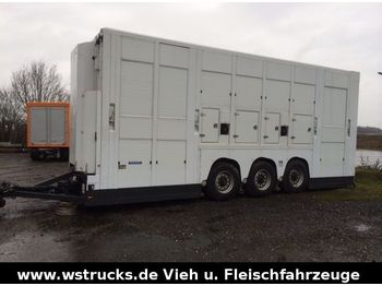 Livestock trailer Menke Tridem Doppelstock: picture 1