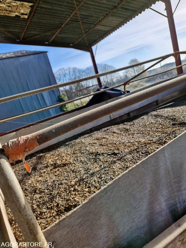 Truck Benne ampliroll céréalière 9