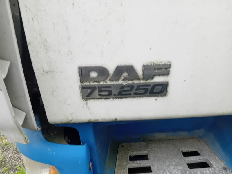 Box truck DAF CF 75.250