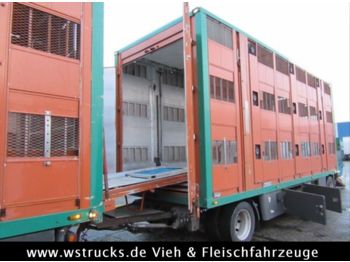 Livestock truck DAF CF85/460 Spacecup Menke 3 Stock: picture 1