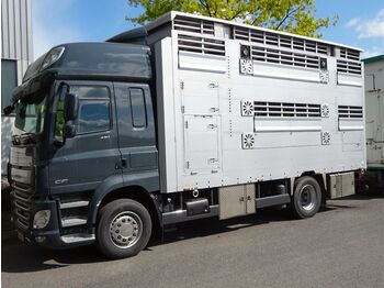New Livestock truck DAF CF 430 SC Pezzaioli 2 Stock Hubdach *NEU*: picture 1