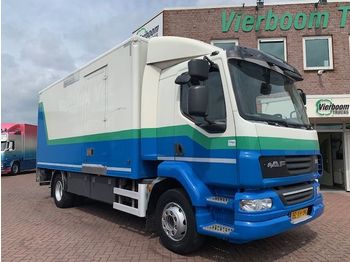 Box truck DAF LF55-220 SLEEPING CABINE BOX WITH TAILLIFT: picture 1
