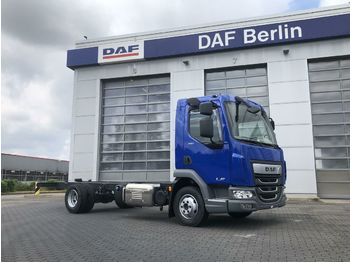 New Cab chassis truck DAF LF 210 G08 FA Day Cab, Klima, Luftfederung: picture 1