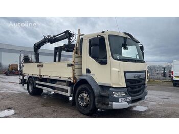 Dropside/ Flatbed truck DAF LF 220 EURO 6: picture 1