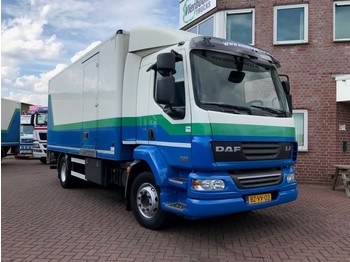 Box truck DAF LF 55-220 EURO 5 BOX WITH TAILLIFT: picture 1