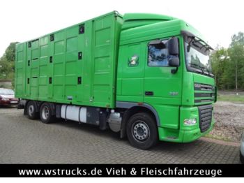Livestock truck DAF XF105/460 Spacecup Menke 3 Stock: picture 1