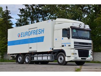 Refrigerator truck DAF XF95 430: picture 1