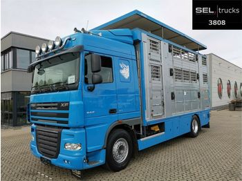 Livestock truck DAF XF 105.460 FA /3 Stock /Hydr. Laderampe /Hubdach: picture 1