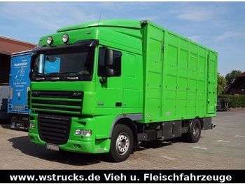 Livestock truck DAF XF 105/460 SC Menke 3 Stock Vollalu: picture 1