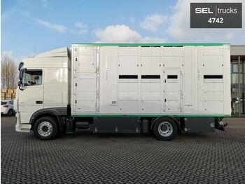 Livestock truck DAF XF 450 / 2 Stock / Alu-Felgen: picture 1