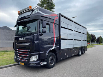 Livestock truck DAF XF 460