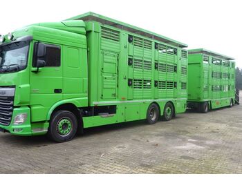 Livestock truck DAF XF 460 SC Finkl 3 Stock Hubdach Kompletter Zug: picture 1