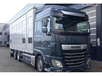 Livestock truck DAF XF 480 Élőállat-szállító: picture 1