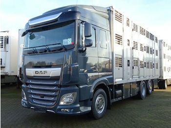 New Livestock truck DAF XF 480 "Neu" SC mit Menke 3 Stock: picture 1