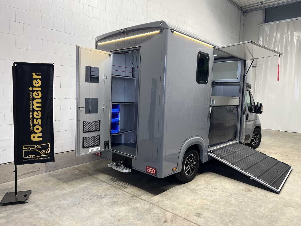 New Horse truck Fiat Böckmann Compact Stall LKW: picture 3
