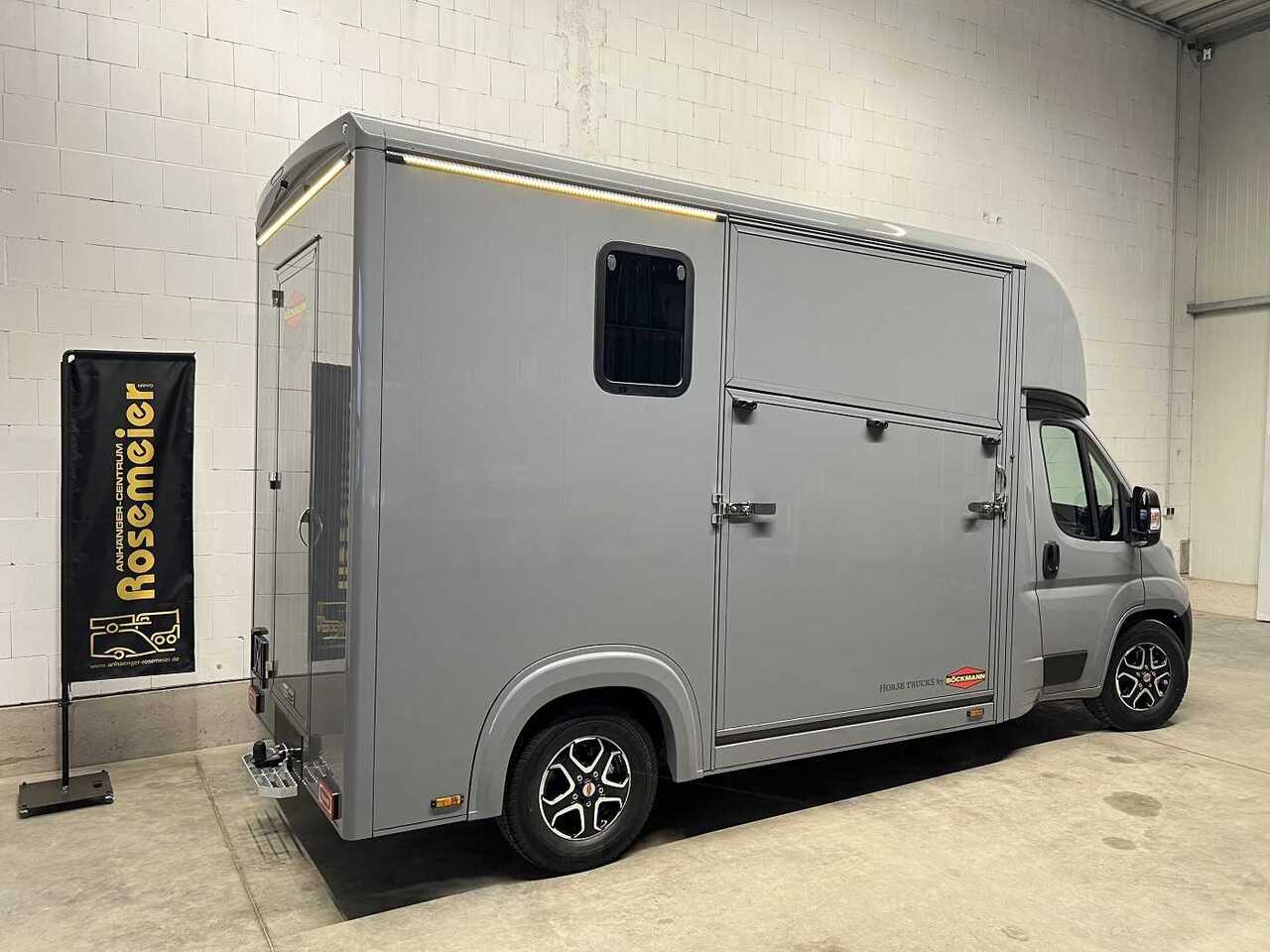 New Horse truck Fiat Böckmann Compact Stall LKW: picture 21