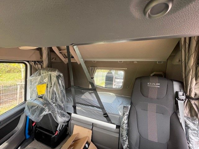 Hook lift truck DAF FAN XF 480 NGD