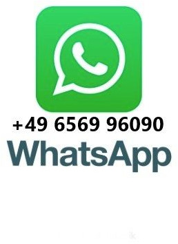 Hook lift truck Iveco Trakker 330 EEV Winterdienst Abroll