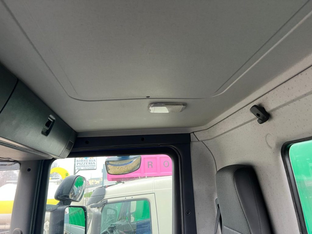 Hook lift truck SCANIA G450 SCARRABILE