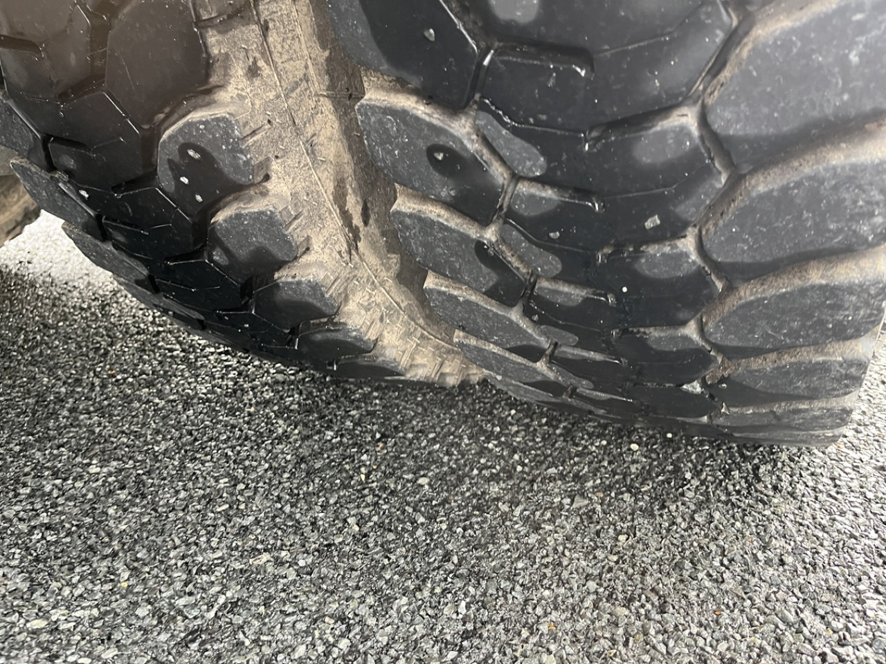 Horse truck DAF CF410