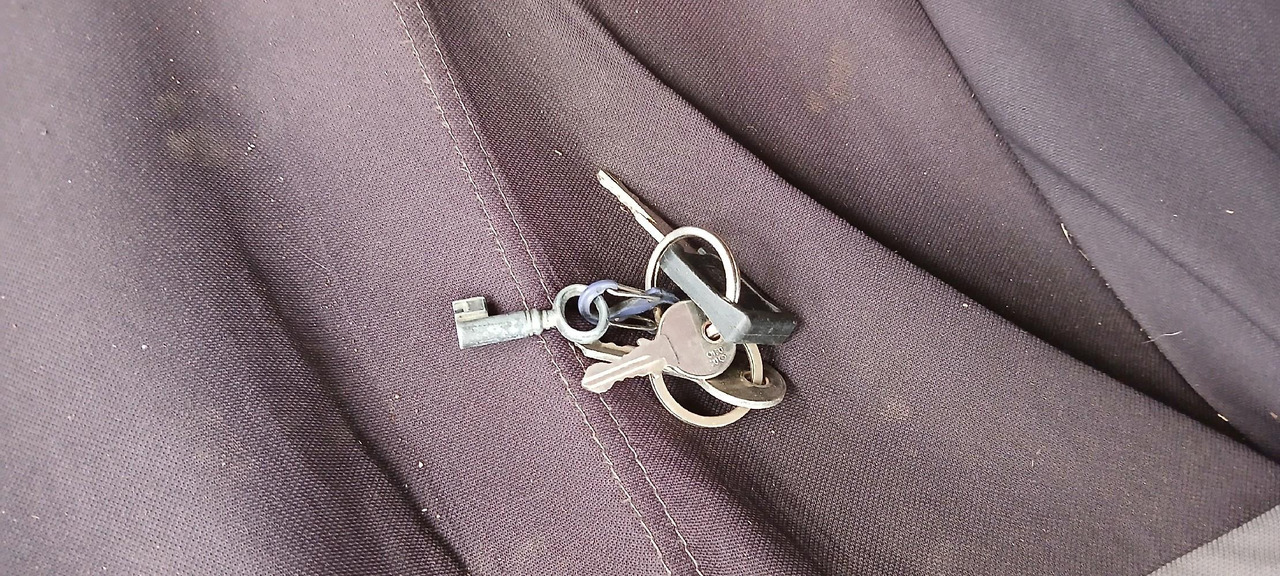 Horse truck RENAULT M180 PORTEUR BETAILLERE