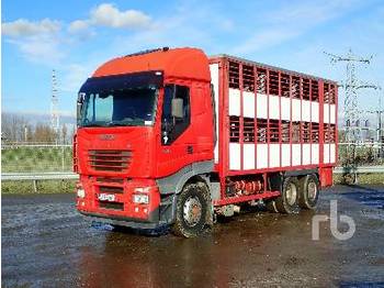Livestock truck IVECO STRALIS 480 6x2: picture 1