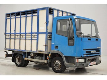 Livestock truck Iveco 65E14: picture 3