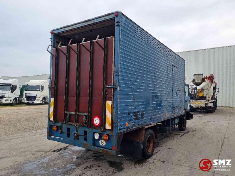 Horse truck Iveco 90 - 13 horse/cheavaux AIRcooled: picture 11