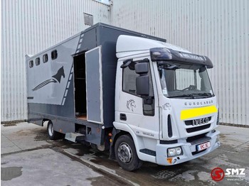 Livestock truck Iveco Eurocargo 120 E 22 horse truck paarden: picture 1