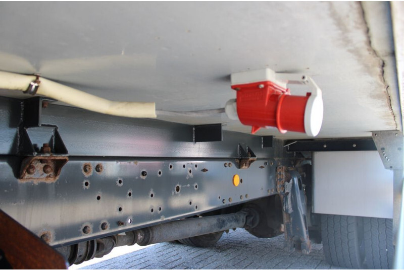 Refrigerator truck Iveco Eurocargo 150e240 + thermo king + manual + dhollandia: picture 12