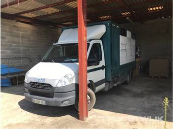 Livestock truck Iveco Iveco Daily 70C21 8cv Daily 70C21 8cv: picture 1