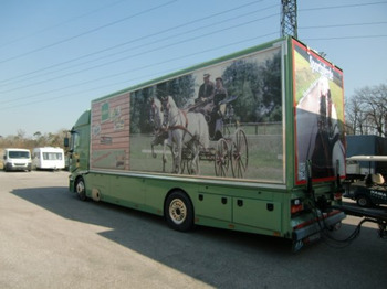Horse truck Iveco Stralis Spezialkraftwagen Pferdetransport: picture 5