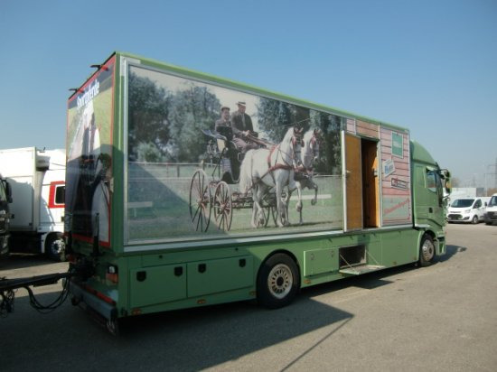Horse truck Iveco Stralis Spezialkraftwagen Pferdetransport: picture 4