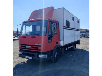 Horse truck Iveco eurocargo: picture 1