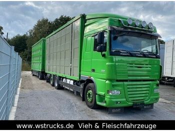 Livestock truck DAF XF 105/460 SC Menke 3 Stock Hubdach