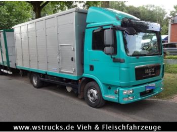 Livestock truck MAN TGL 12.250 Menke Einstock