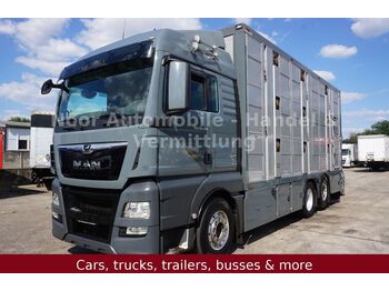 Livestock truck MAN TGX 26.440 XXL LL *3Stock-Menke-Typ2/Lenk+Lift