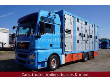 Livestock truck MAN TGX 26.540 XXL LL*Retarder/3Stock-Menke/LenkLift
