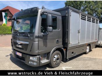 Livestock truck MAN TG-L 8.250 FG Finkl Einstock