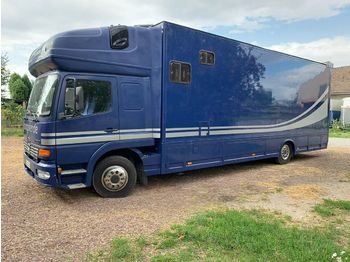 Livestock truck Mercedes-Benz Pferdetransporter