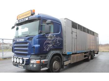 Scania R480 LB 6X2*4 HNB  - livestock truck