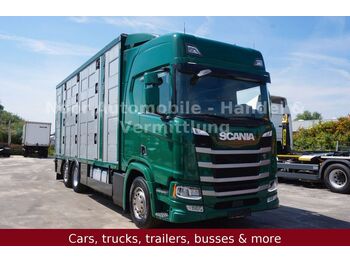 Livestock truck Scania R500 LL HighLine *4Stock-Menke/Retarder/LenkLift