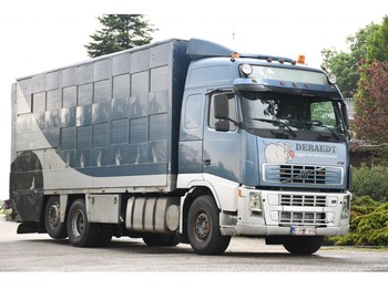 Volvo Fh12/500 3 Stock Cuppers!! Livestock Truck From Netherlands For Sale At Truck1, Id: 5931697